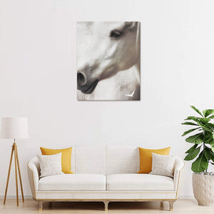 Canvas Print 16" x 20"