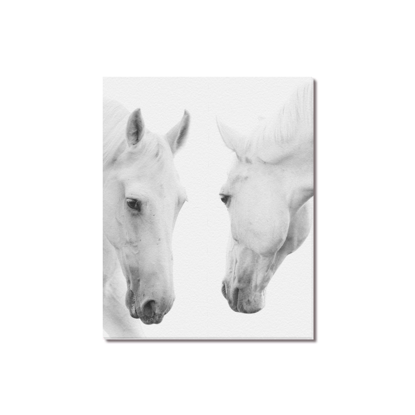 Canvas Print 16" x 20"