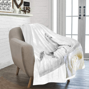 blanket white horse
