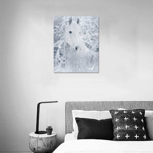 Canvas Print 16" x 20"