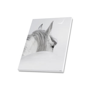 Canvas Print 16" x 20"