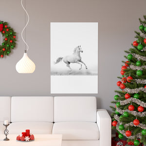Premium Matte vertical posters