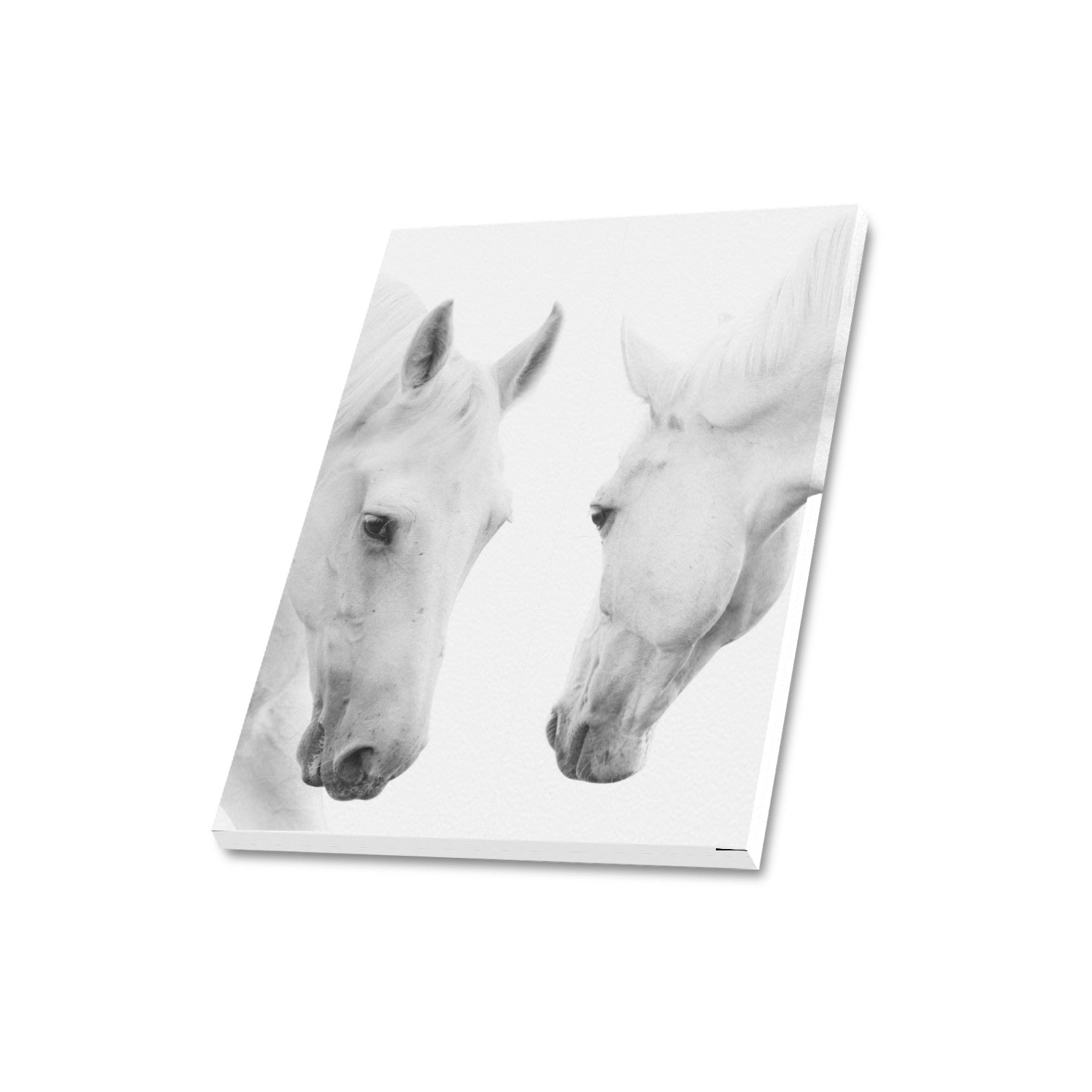 Canvas Print 16" x 20"