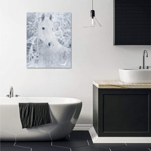 Canvas Print 16" x 20"