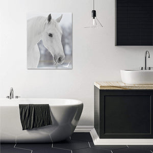 Canvas Print 16" x 20"