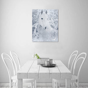 Canvas Print 16" x 20"