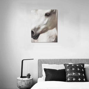 Canvas Print 16" x 20"
