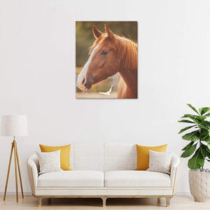 ... Canvas Print 16" x 20"