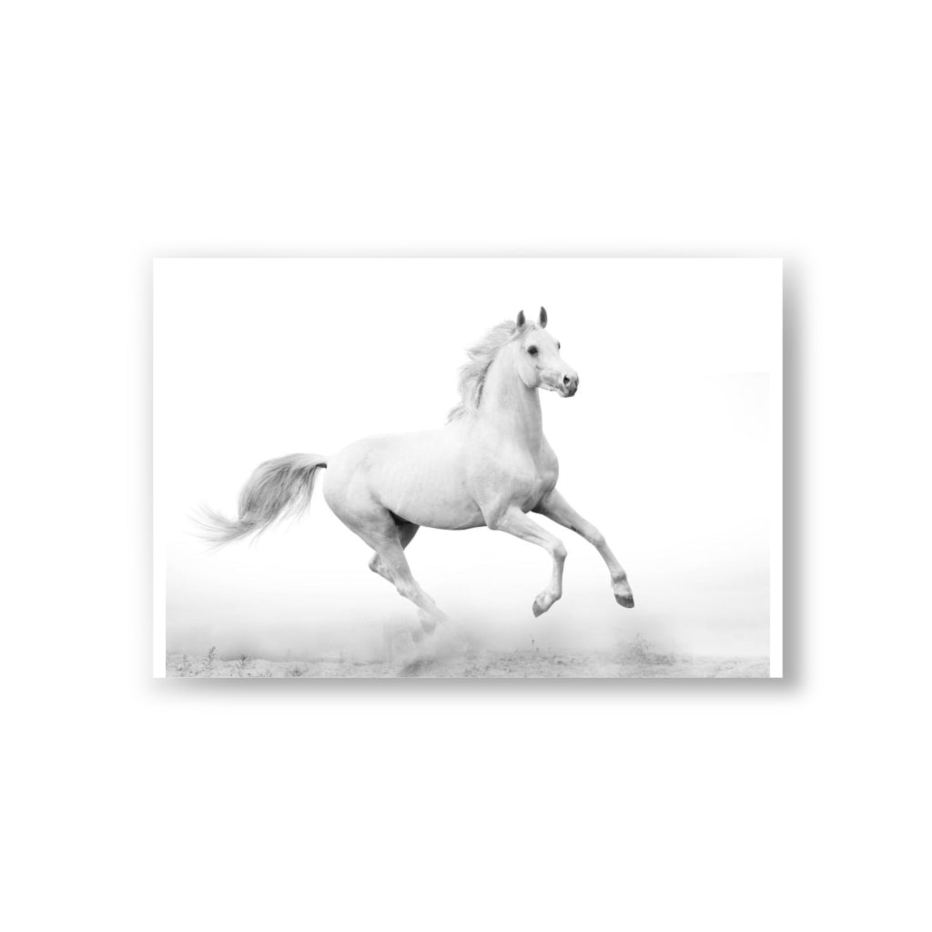 Postcards (10pcs)